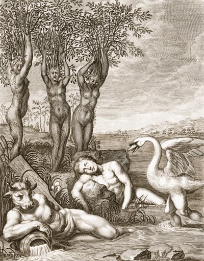 Cygnus Transformed into a Swan and Phaeton